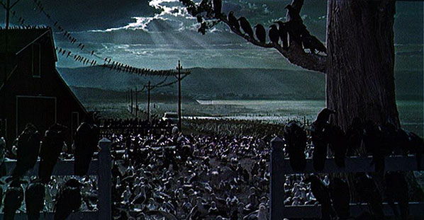 The Birds (1963), dir. Alfred Hitchcock