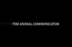 The Animal Communicator
